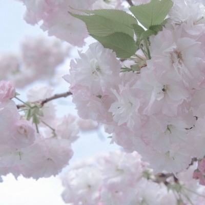 Furry兽设设计干货FurryQQ群